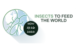 Insects to Feed the World